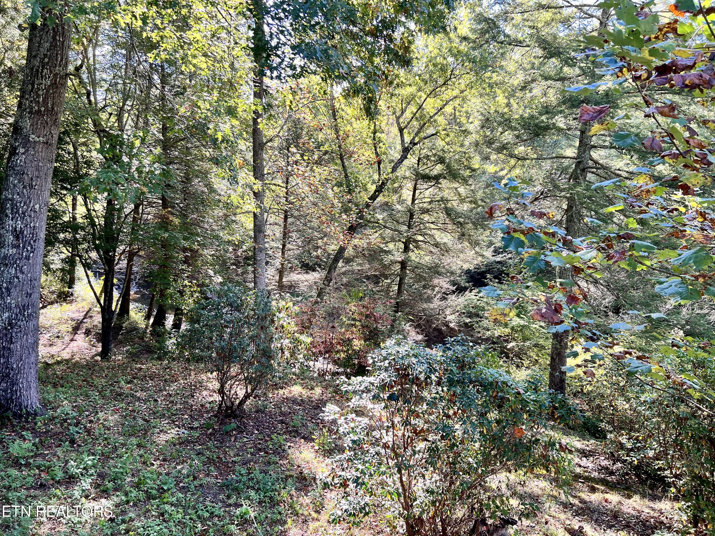 123 Doc Huling Rd Property Photo 10