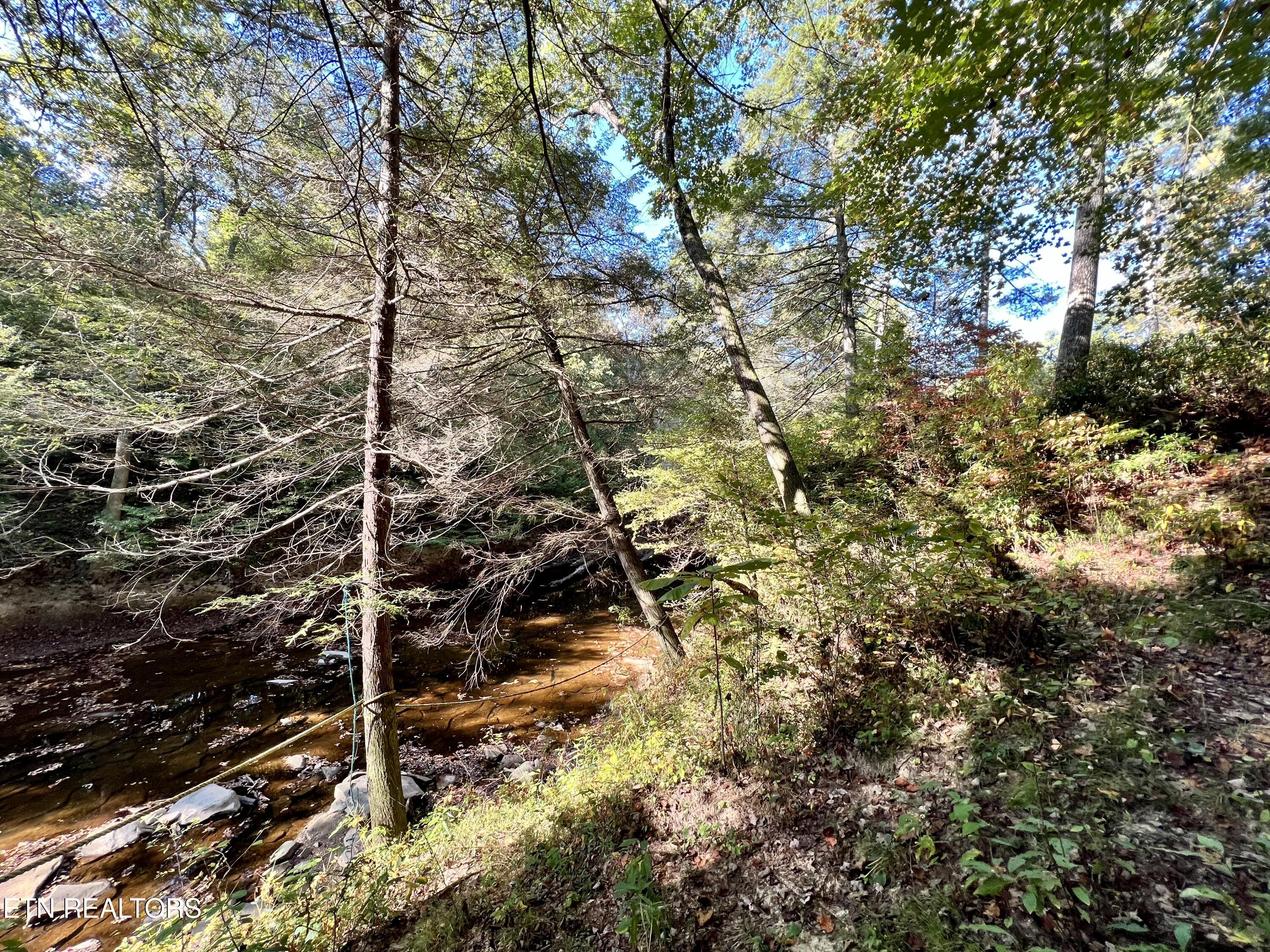 123 Doc Huling Rd Property Photo 11