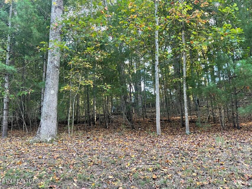 187 Lynhurst Drive Property Photo 1