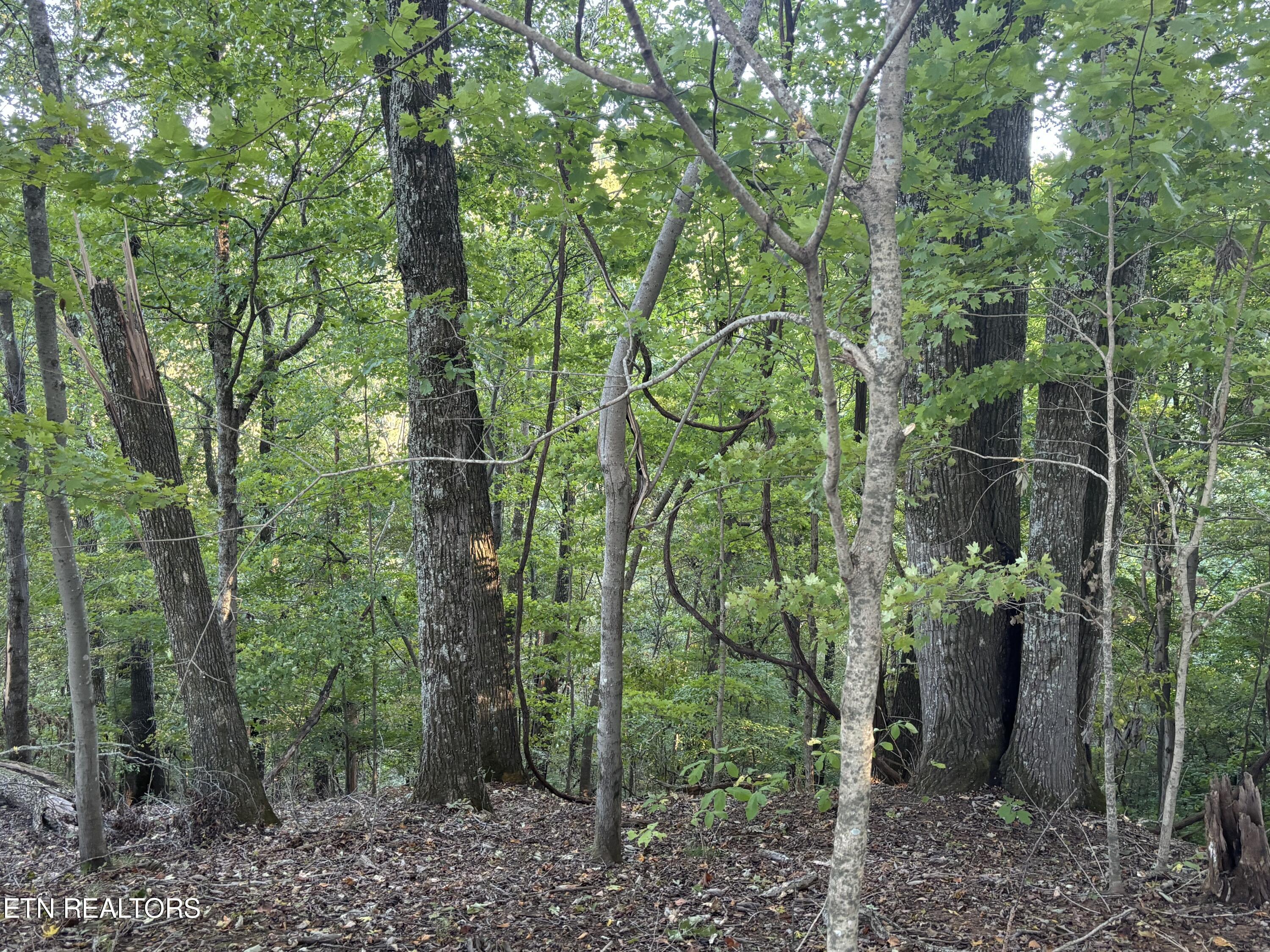 2050 Jones Bend Rd Property Photo 2