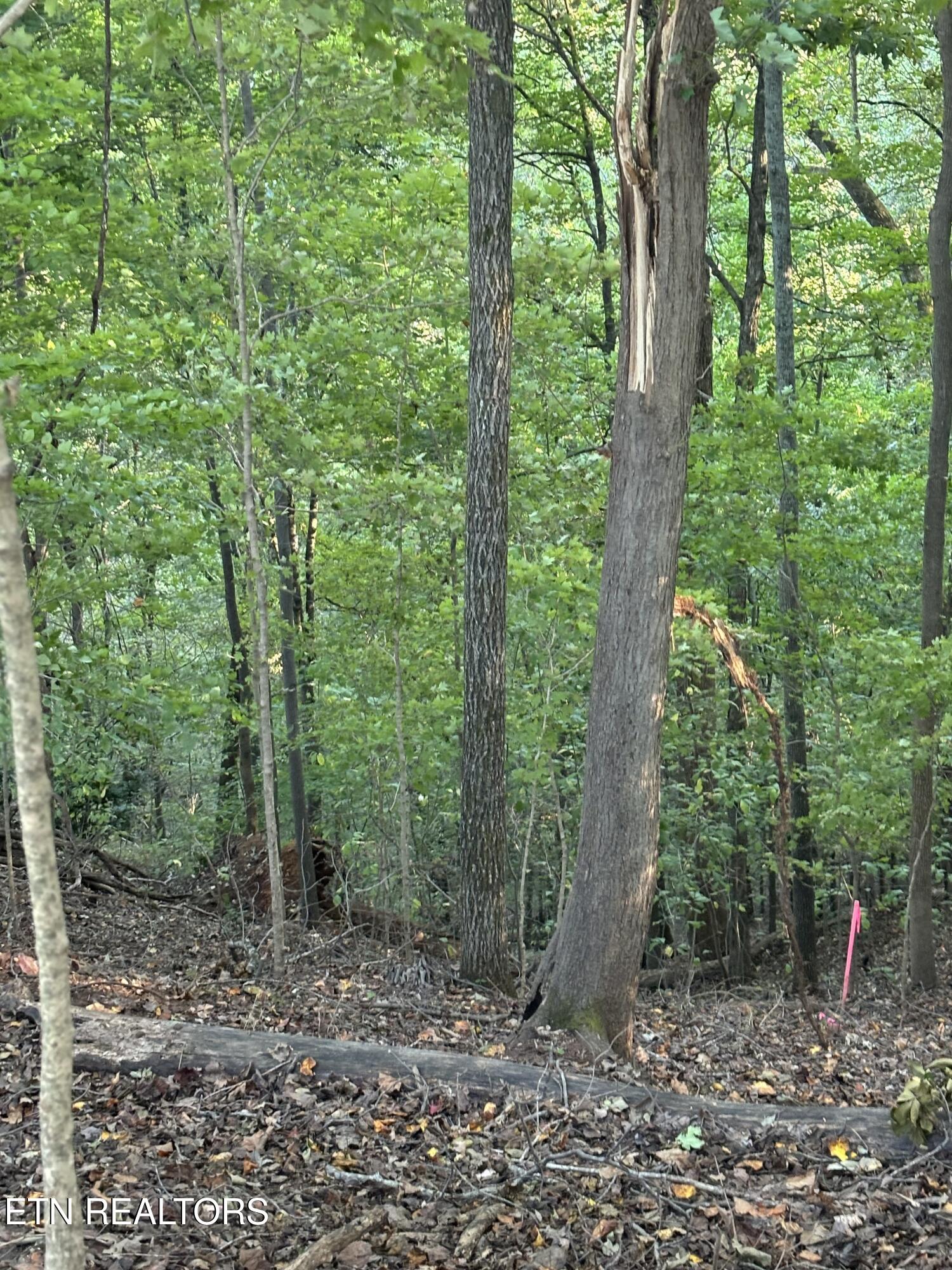 2050 Jones Bend Rd Property Photo 5