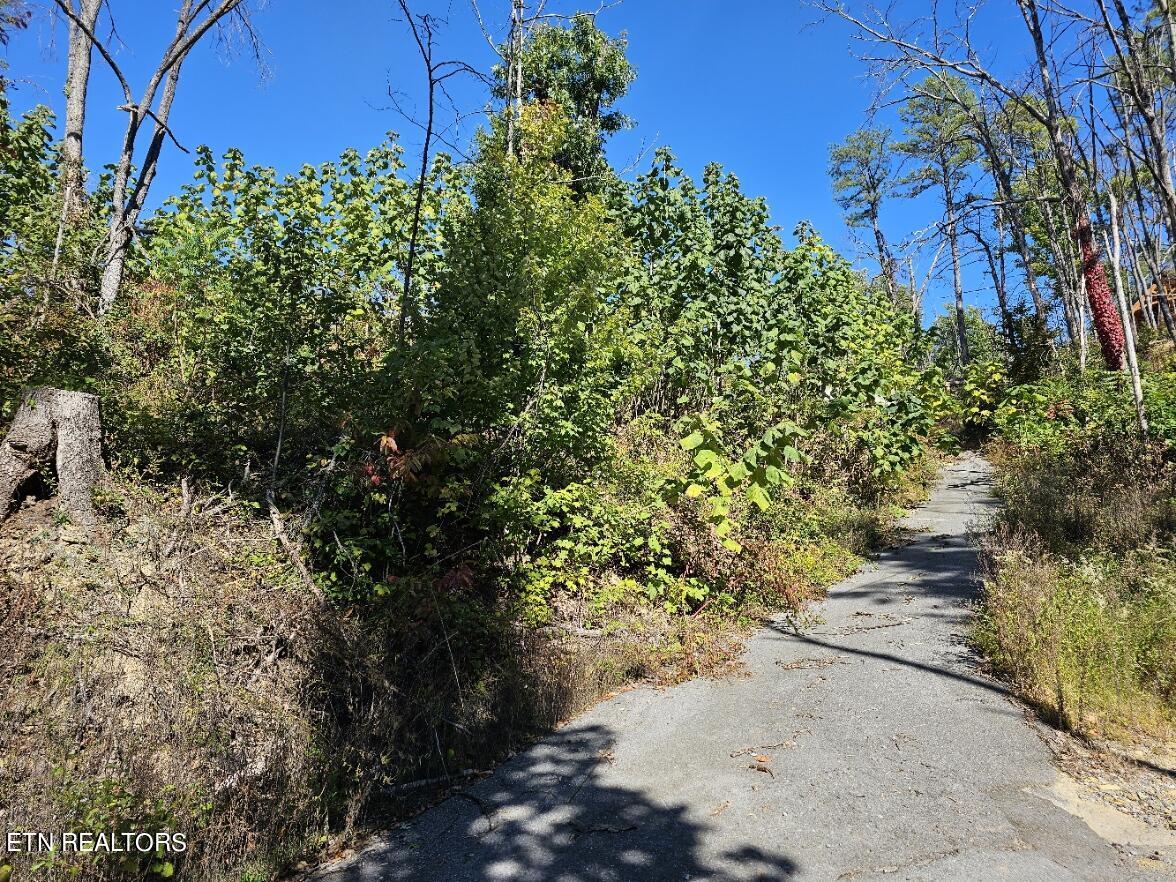 2211 Ridgeland Circle Property Photo 12