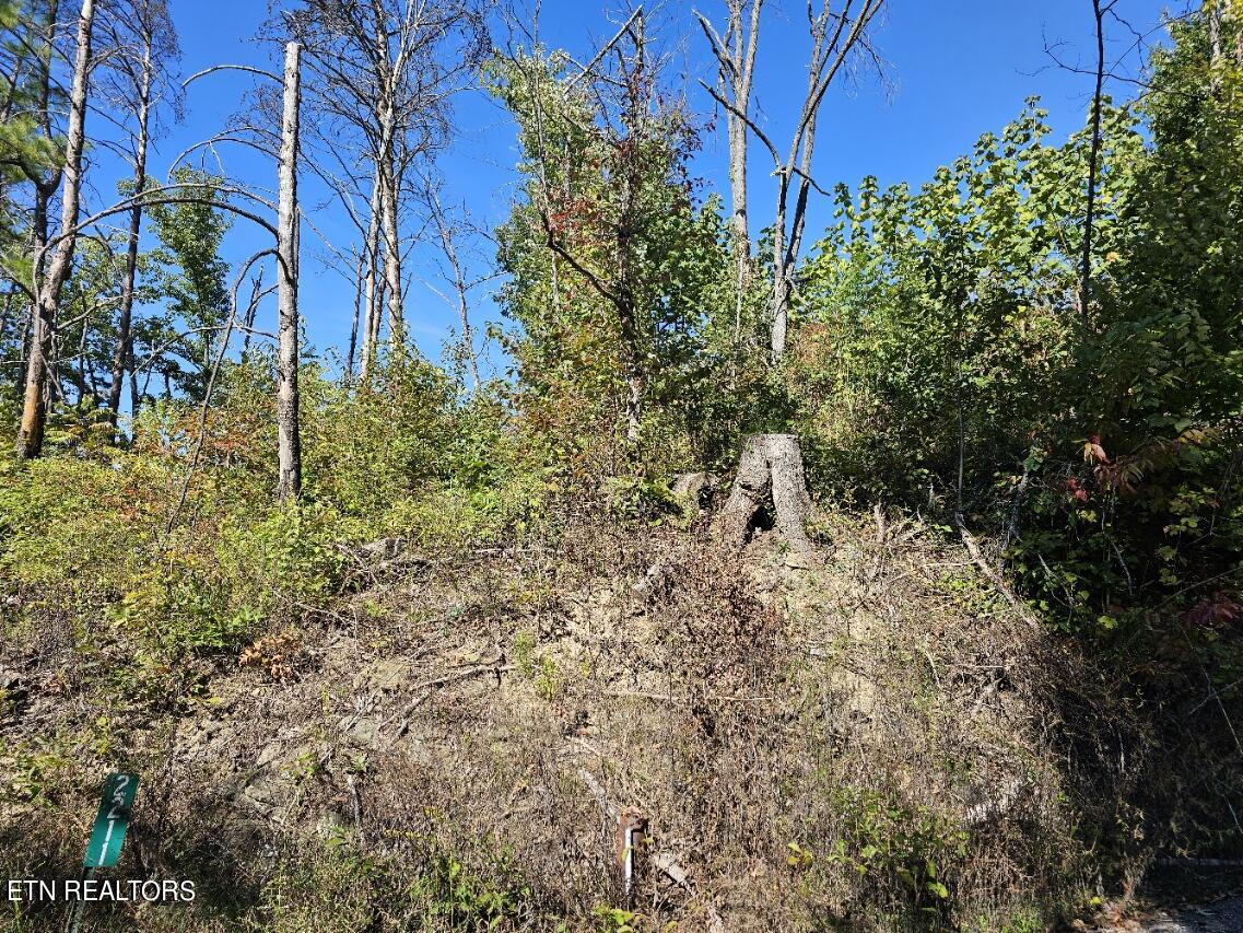 2211 Ridgeland Circle Property Photo 14