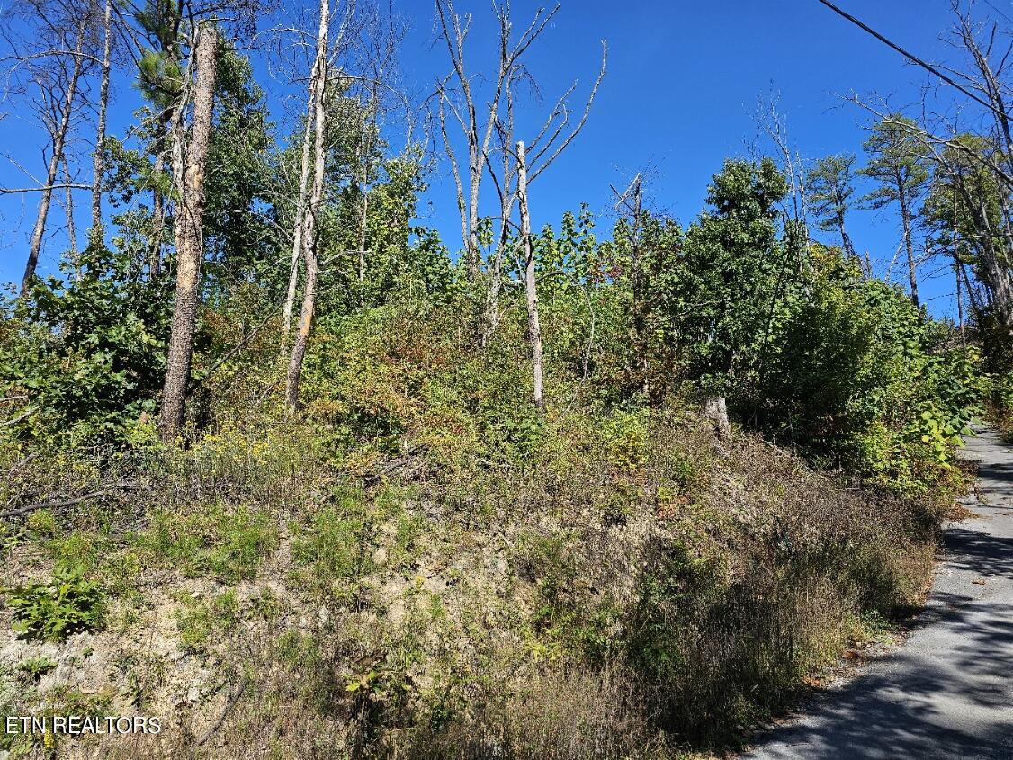 2211 Ridgeland Circle Property Photo 16