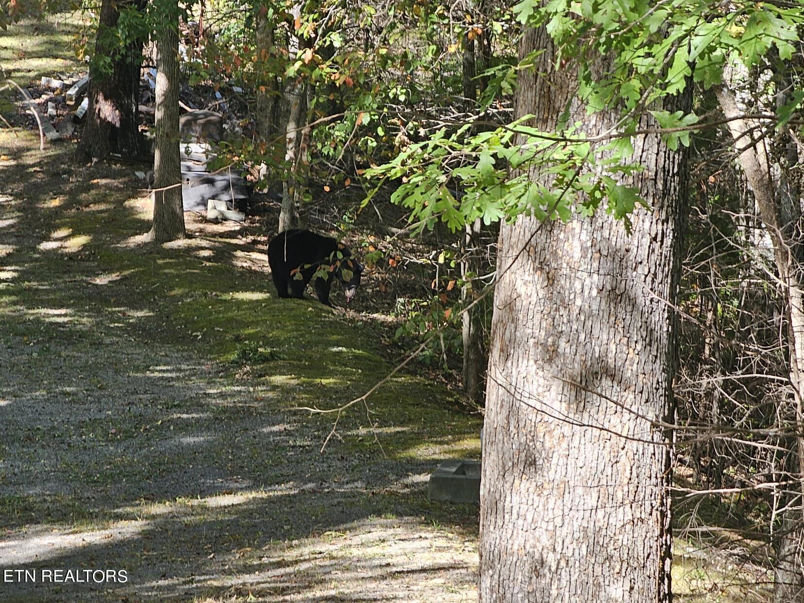 2211 Ridgeland Circle Property Photo 22
