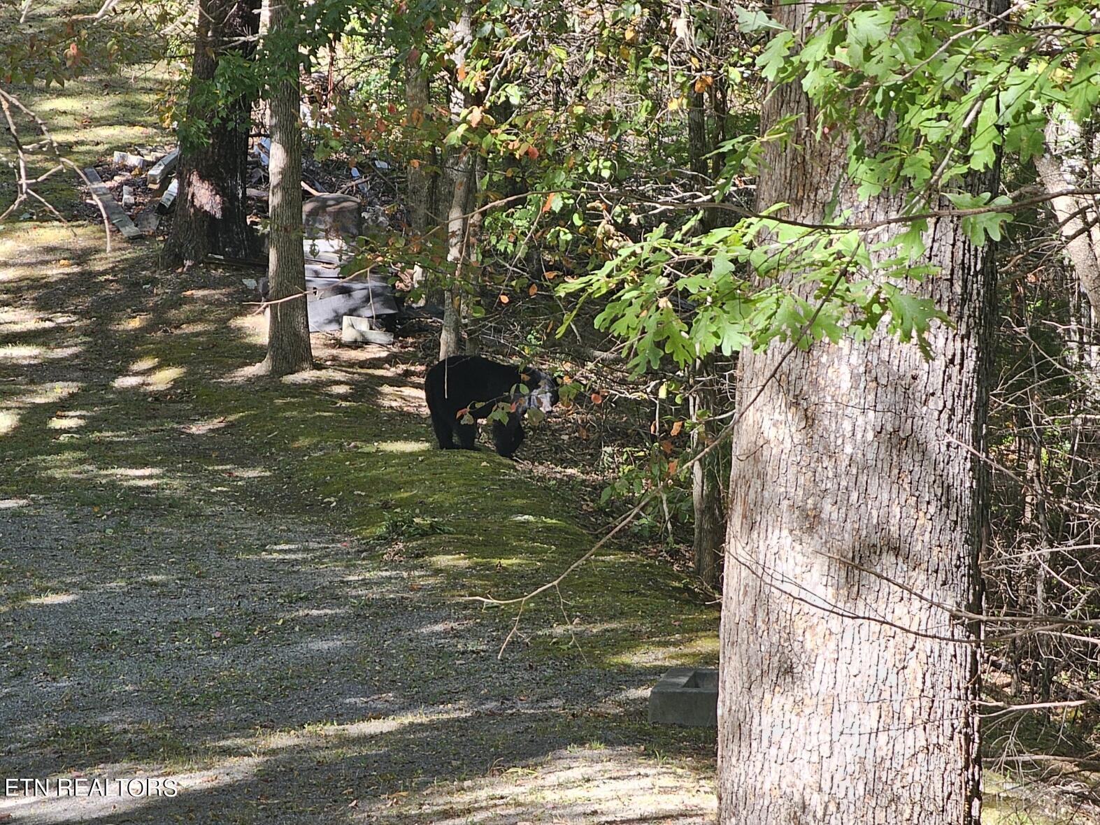 2211 Ridgeland Circle Property Photo 23