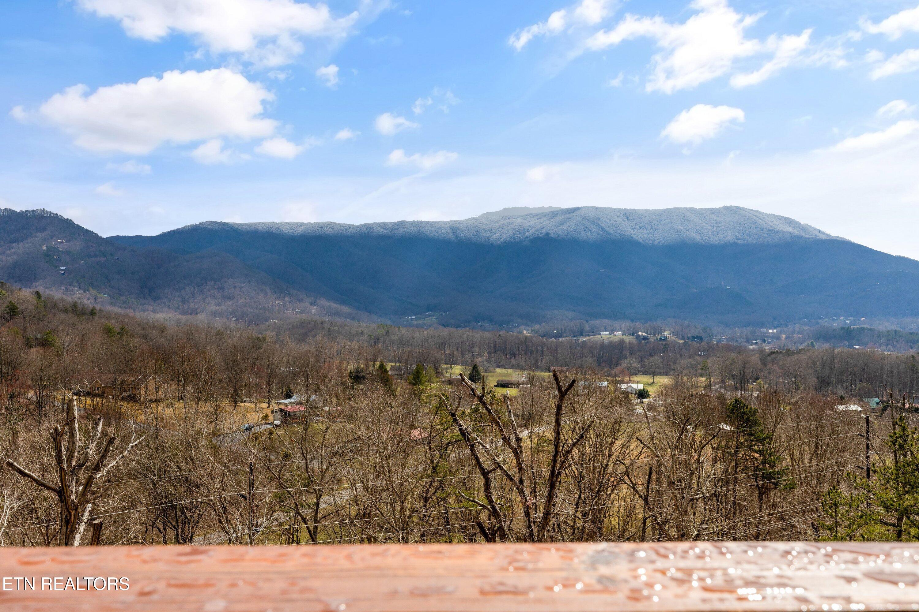 3540 Mountain Tyme Way Property Photo 5