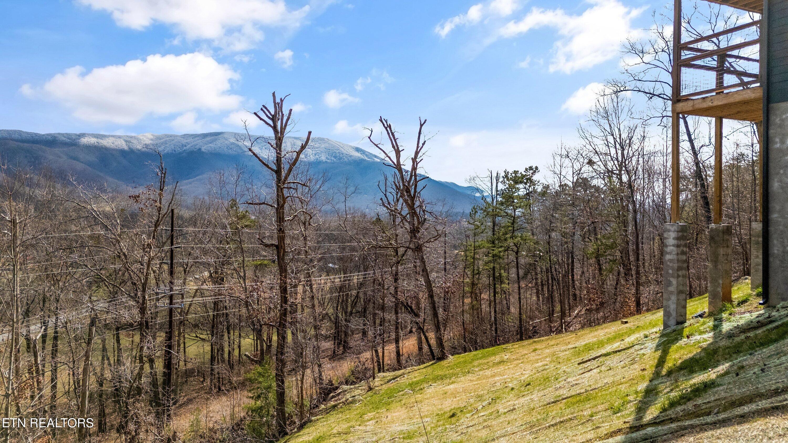 3540 Mountain Tyme Way Property Photo 41