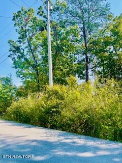 Tr-2c W Gold Dust Drive Drive Property Photo 1