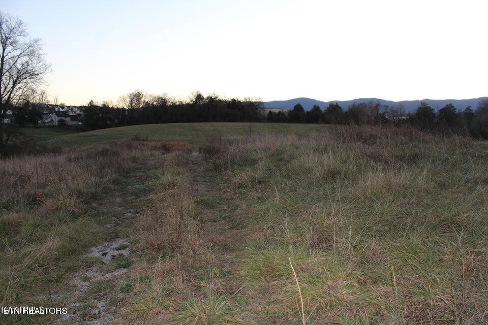 1517 Towe String Rd Property Photo 4