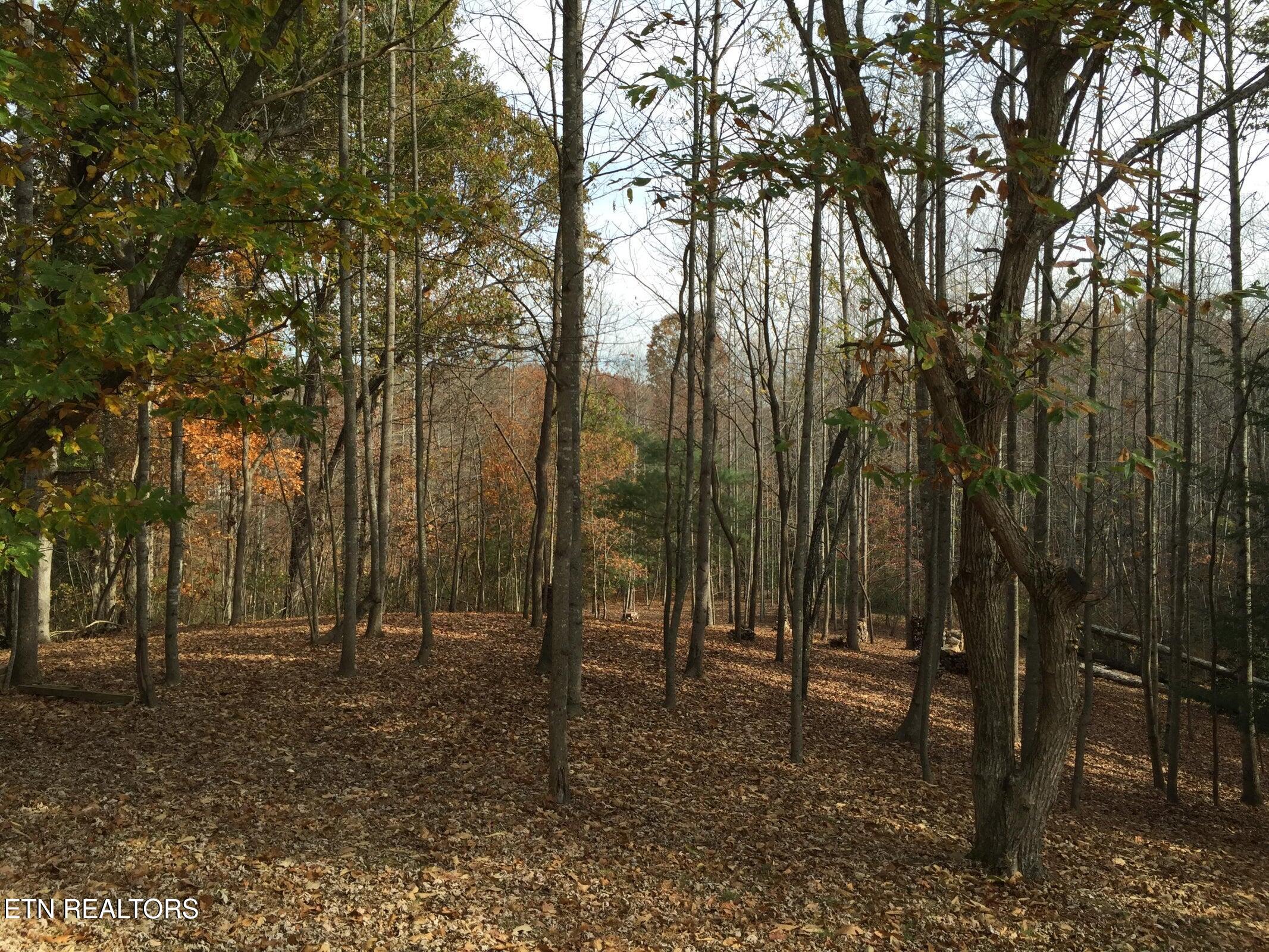 3265 Leatherwood Ford Rd Property Photo 3