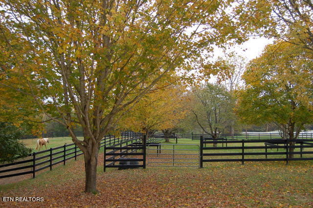 3265 Leatherwood Ford Rd Property Photo 6