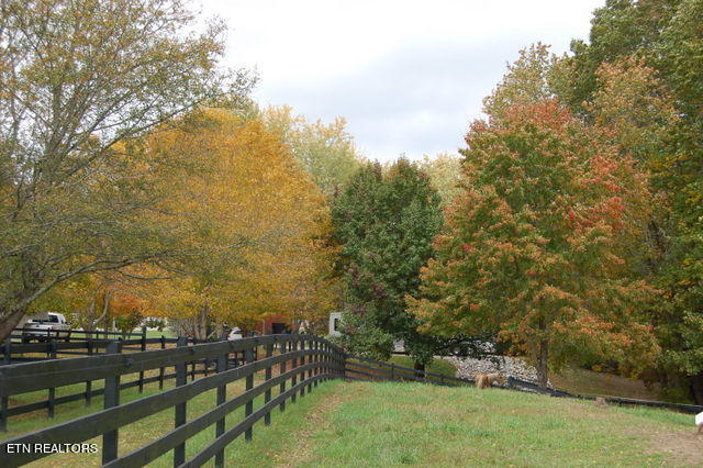 3265 Leatherwood Ford Rd Property Photo 7