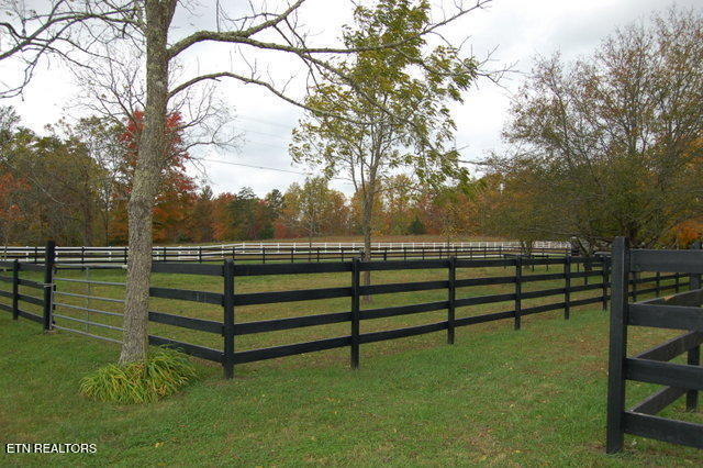 3265 Leatherwood Ford Rd Property Photo 8