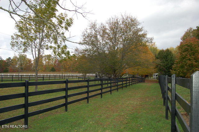 3265 Leatherwood Ford Rd Property Photo 9