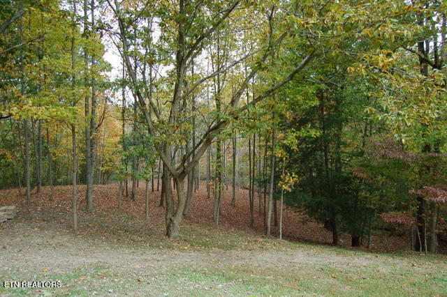 3265 Leatherwood Ford Rd Property Photo 10