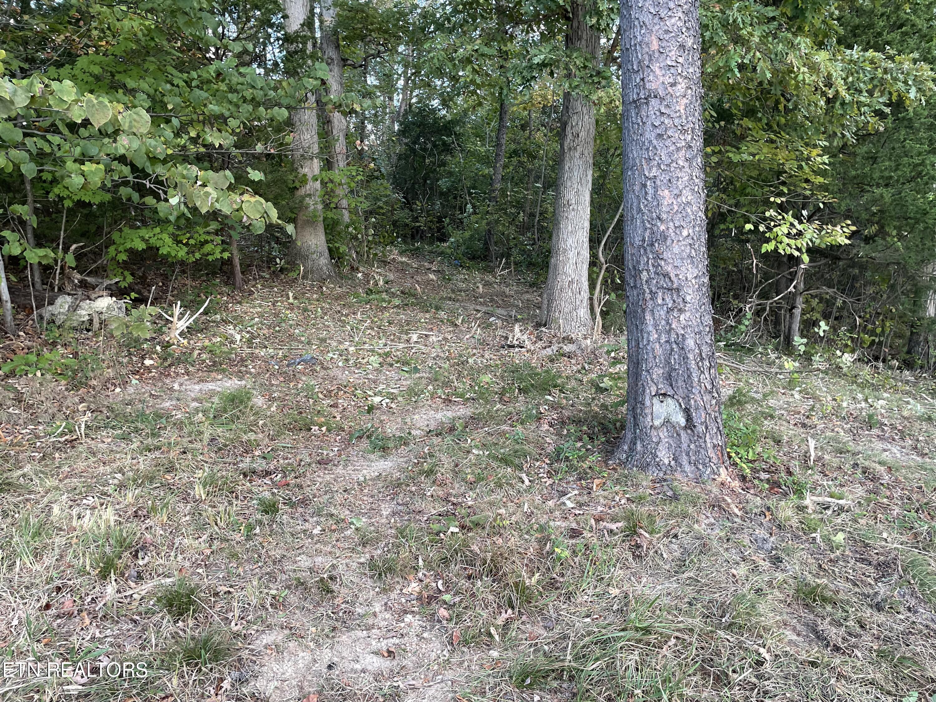 453 Statem Gap Rd Property Photo 3