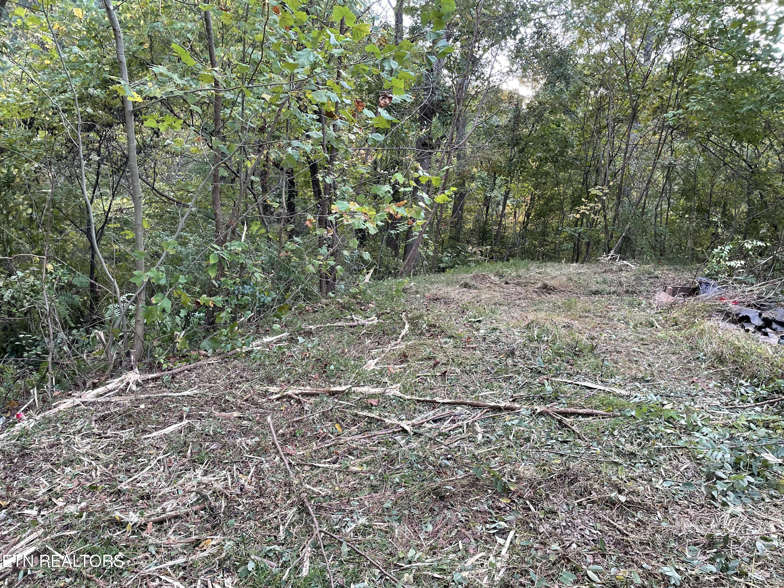 453 Statem Gap Rd Property Photo 6
