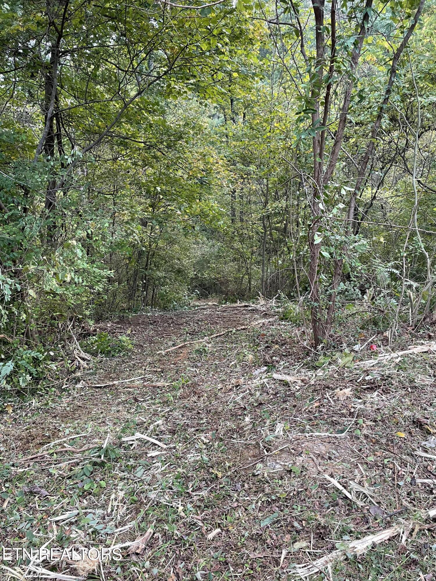 453 Statem Gap Rd Property Photo 7
