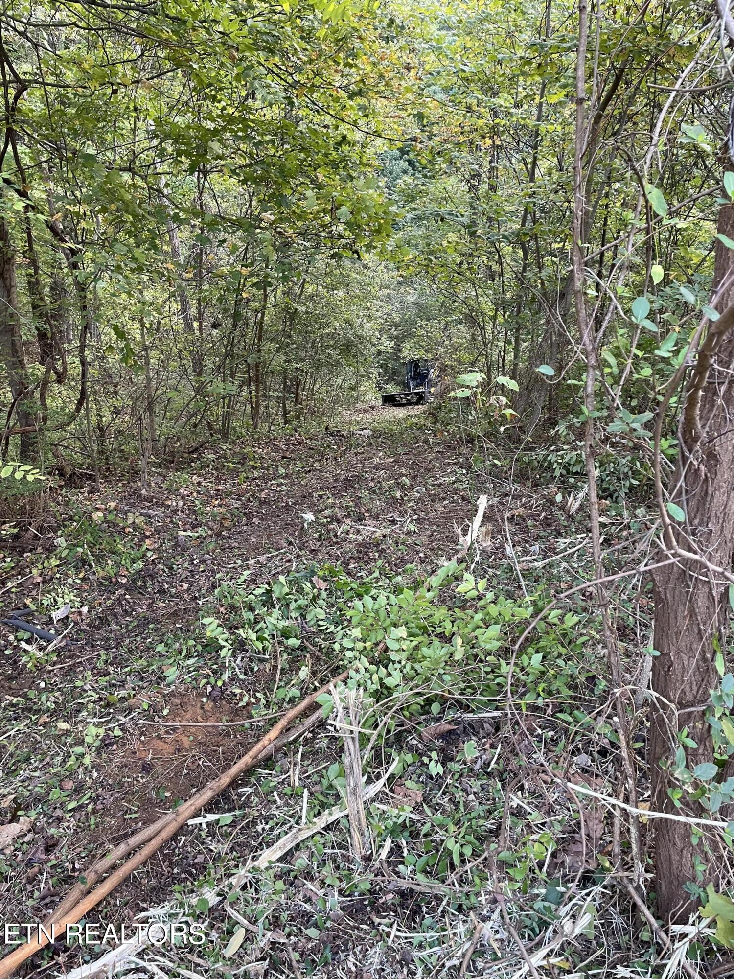 453 Statem Gap Rd Property Photo 8