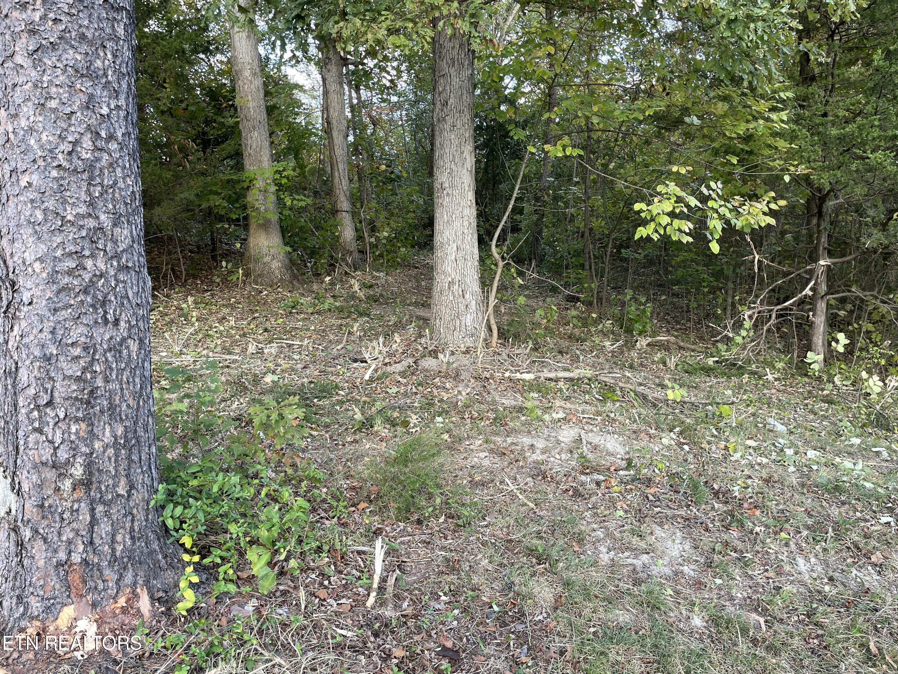 453 Statem Gap Rd Property Photo 12