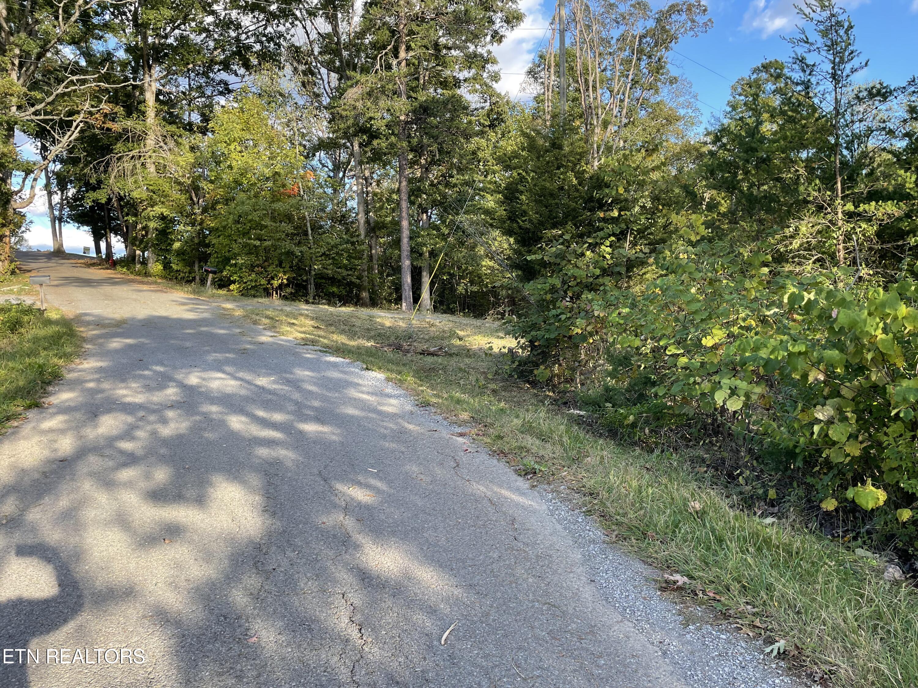 453 Statem Gap Rd Property Photo 14