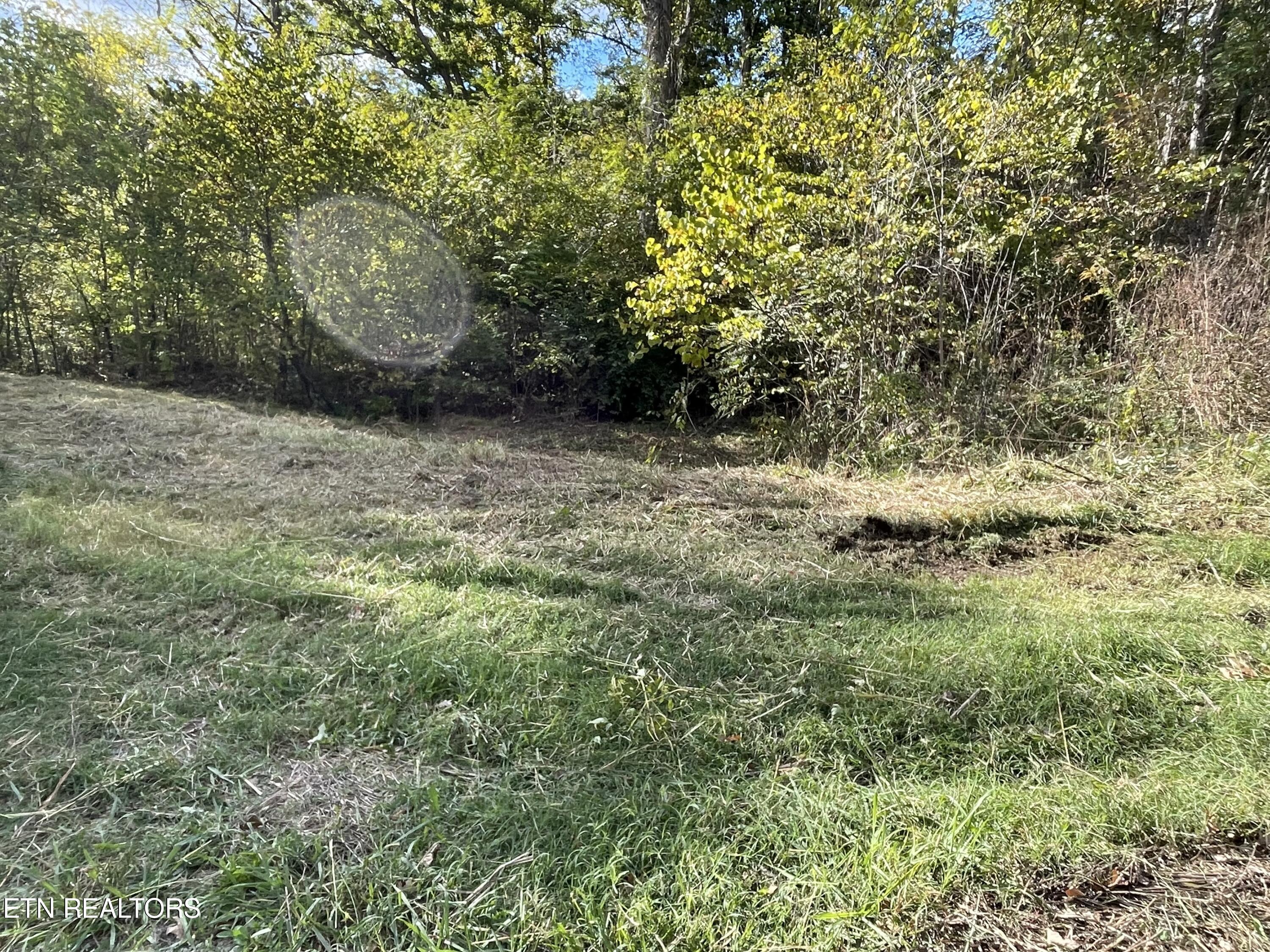 453 Statem Gap Rd Property Photo 15