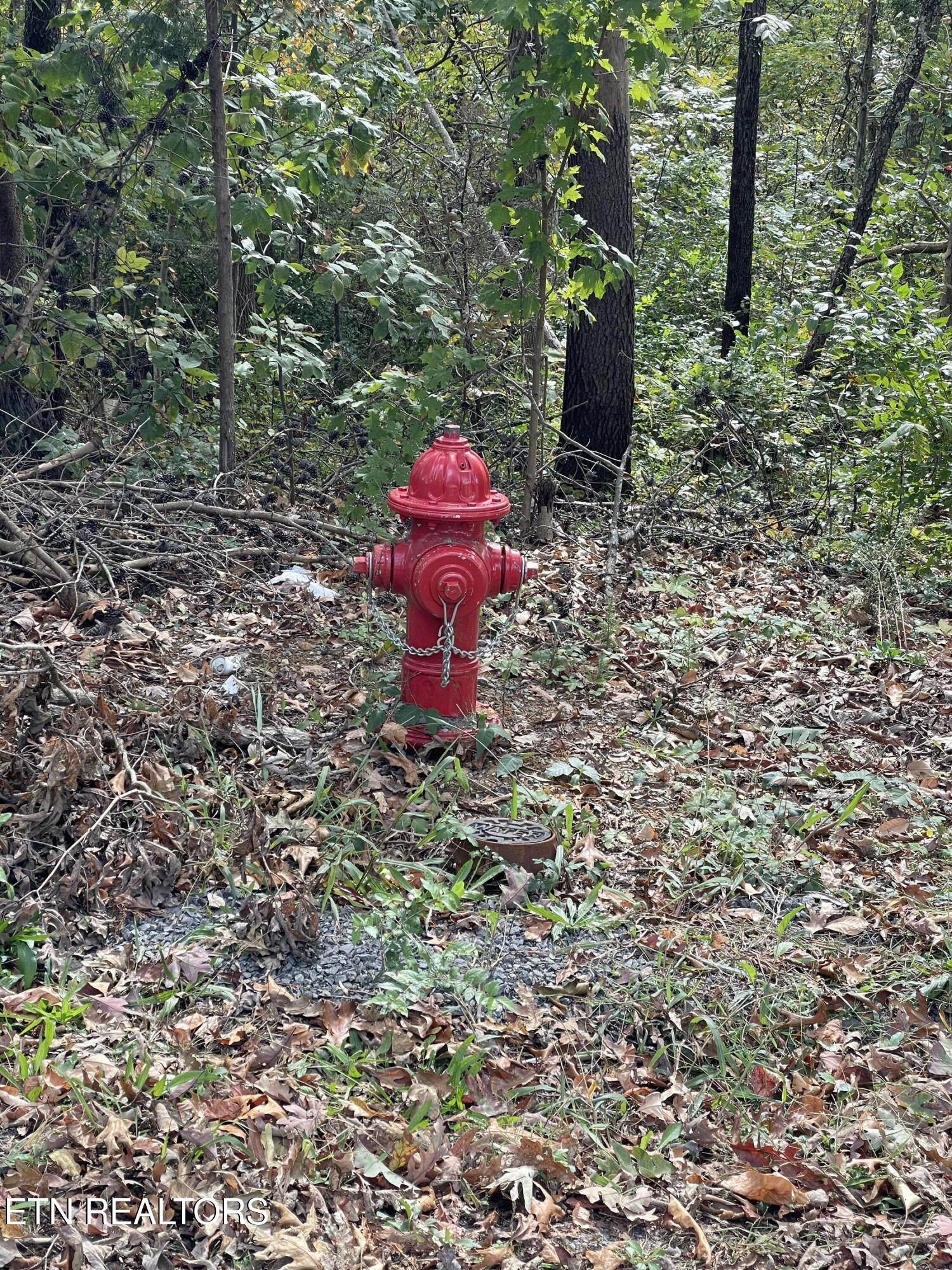 453 Statem Gap Rd Property Photo 18