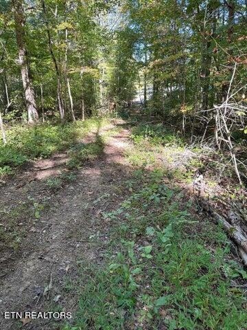 Lot 351 Diana Drive Property Photo 1
