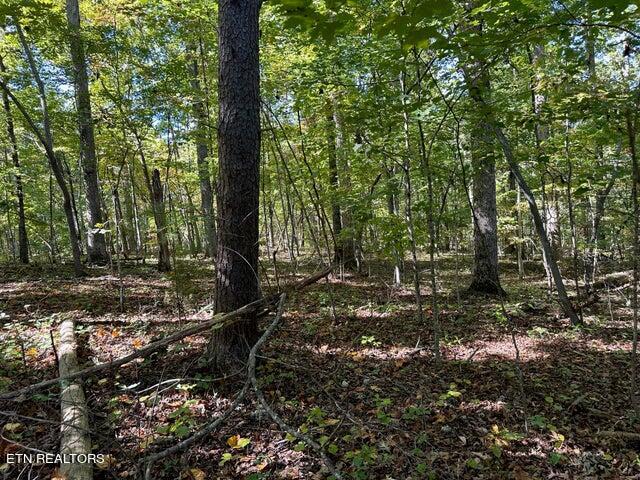 Lot 351 Diana Drive Property Photo 3