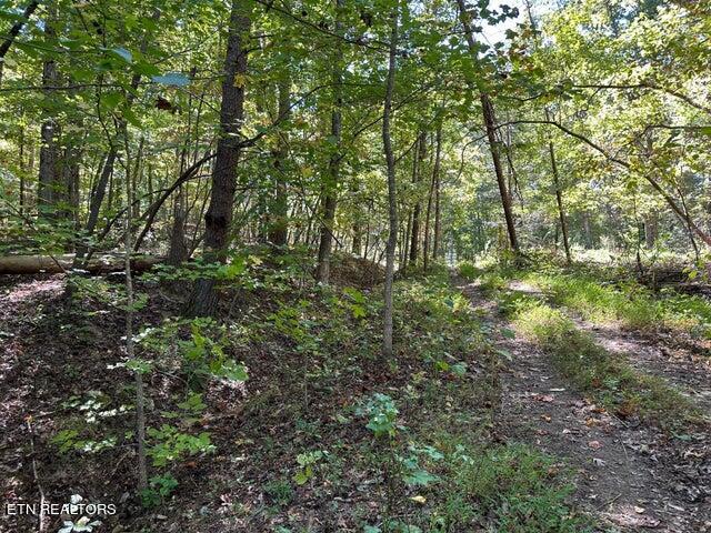 Lot 351 Diana Drive Property Photo 4