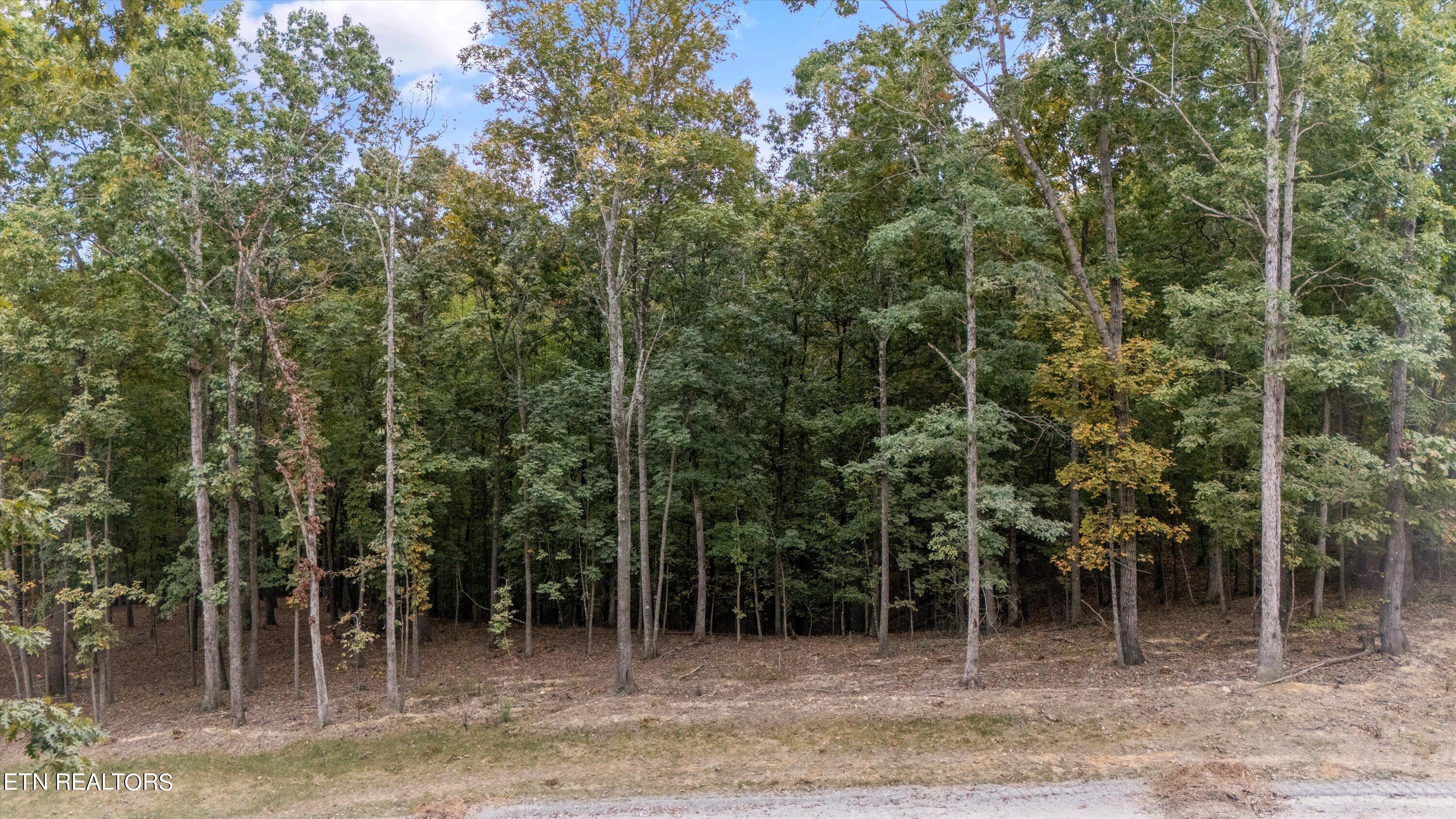 184 Hammock Court Property Photo 3