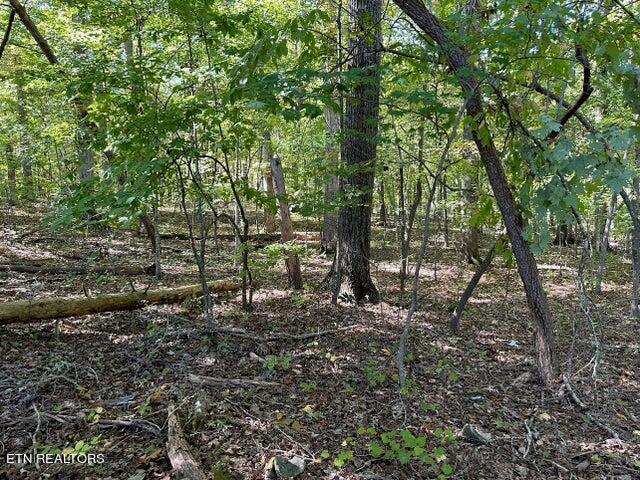 Lot351-354 Diana Drive Property Photo 2
