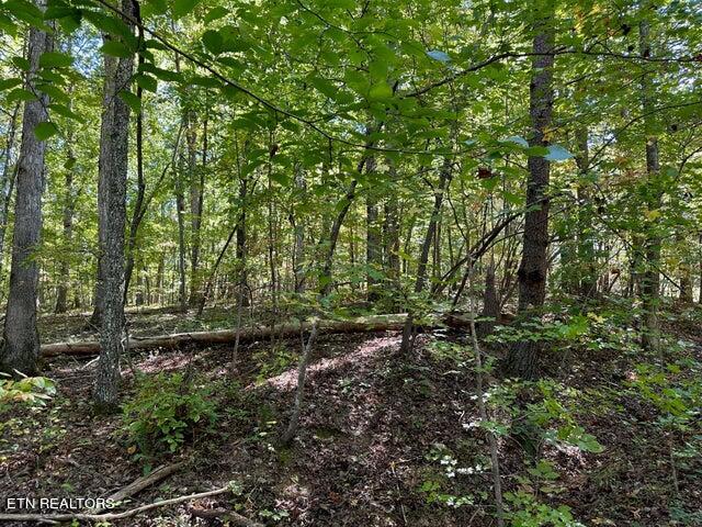 Lot 412 Smith Rd Property Photo 3