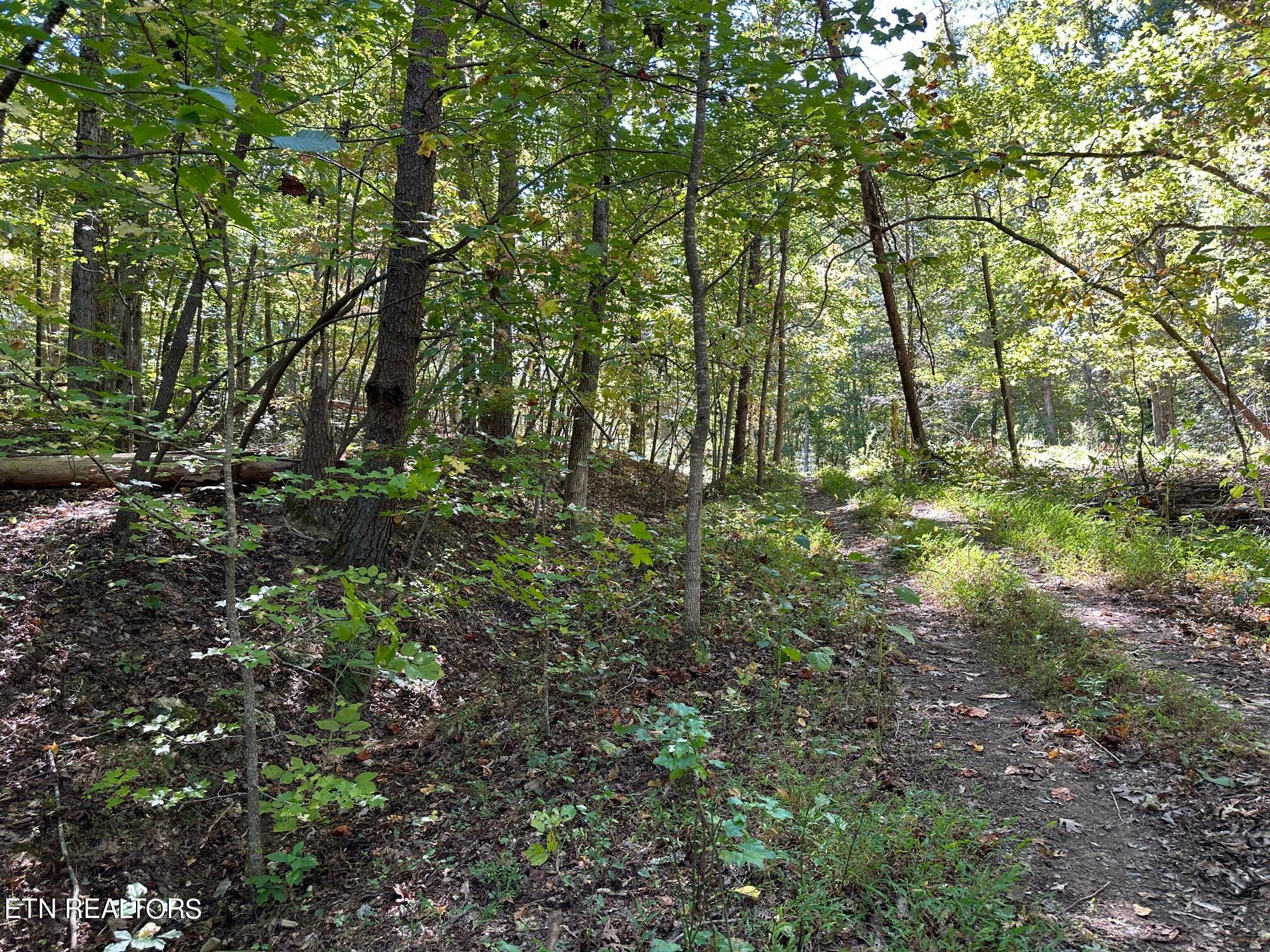 Lot 412 Smith Rd Property Photo 4