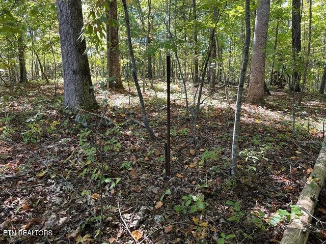 Lot411&412 Smith Rd Property Photo 2
