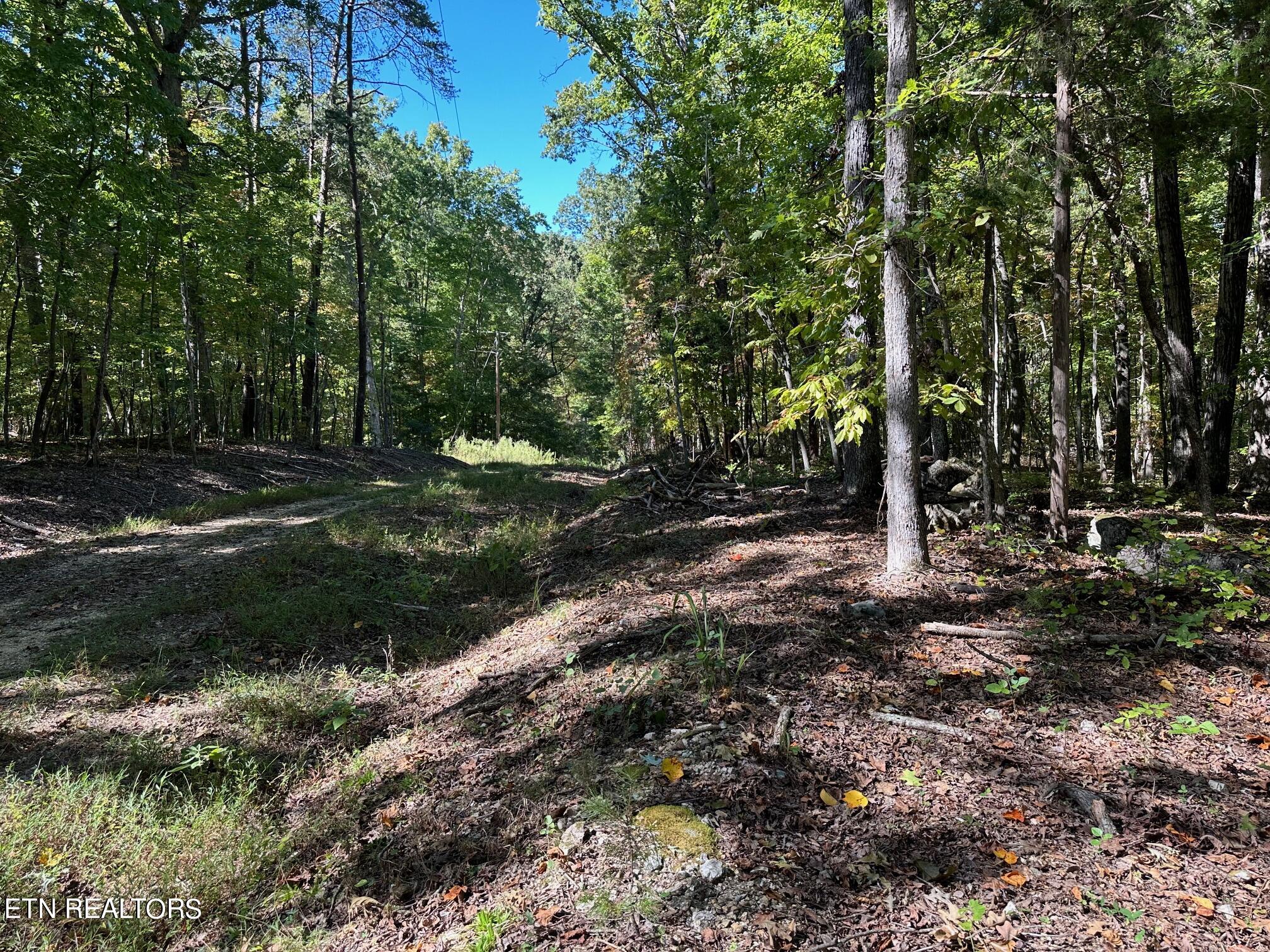 Lot411&412 Smith Rd Property Photo 4
