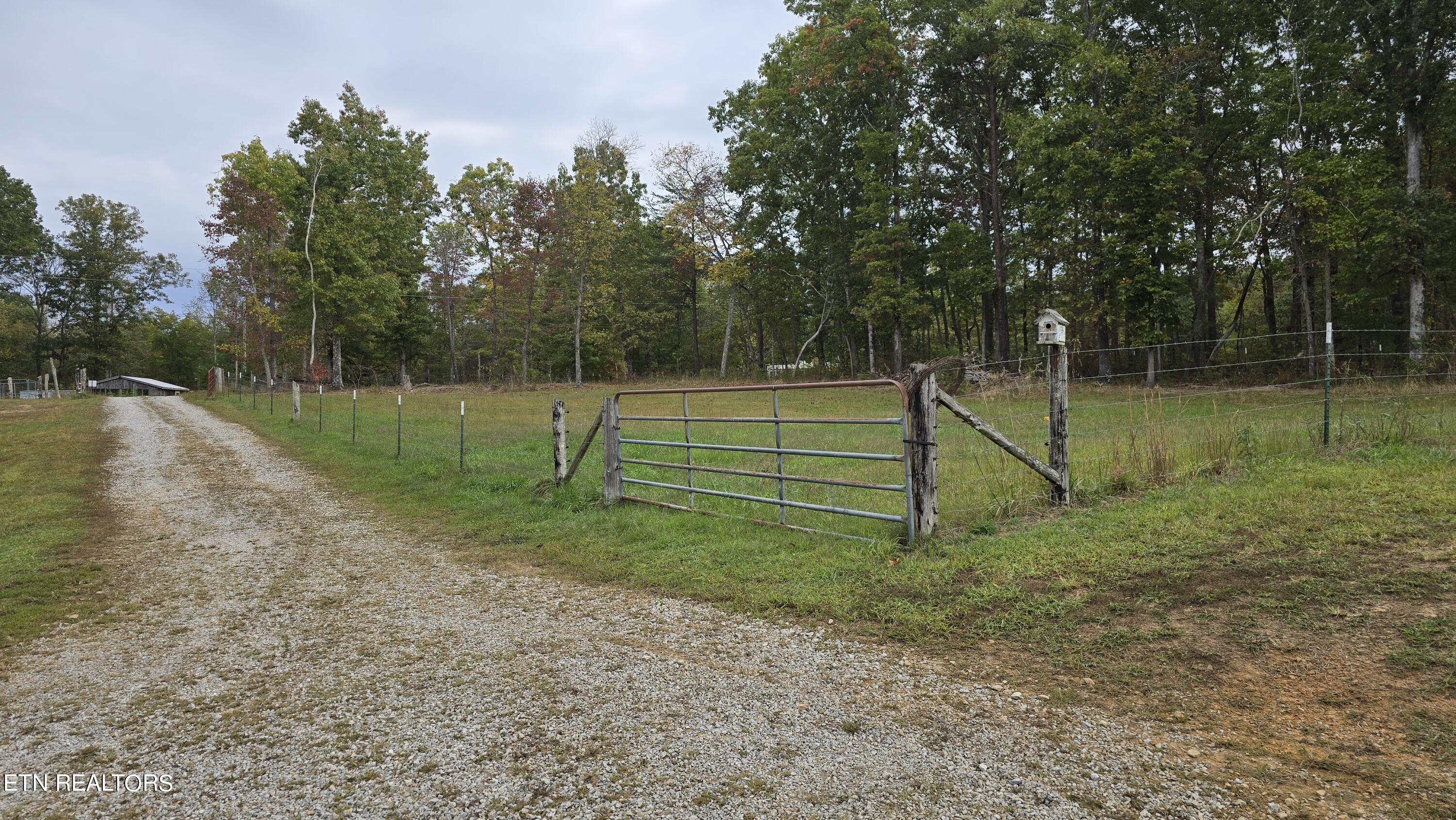 381 Grapevine Rd Property Photo 4