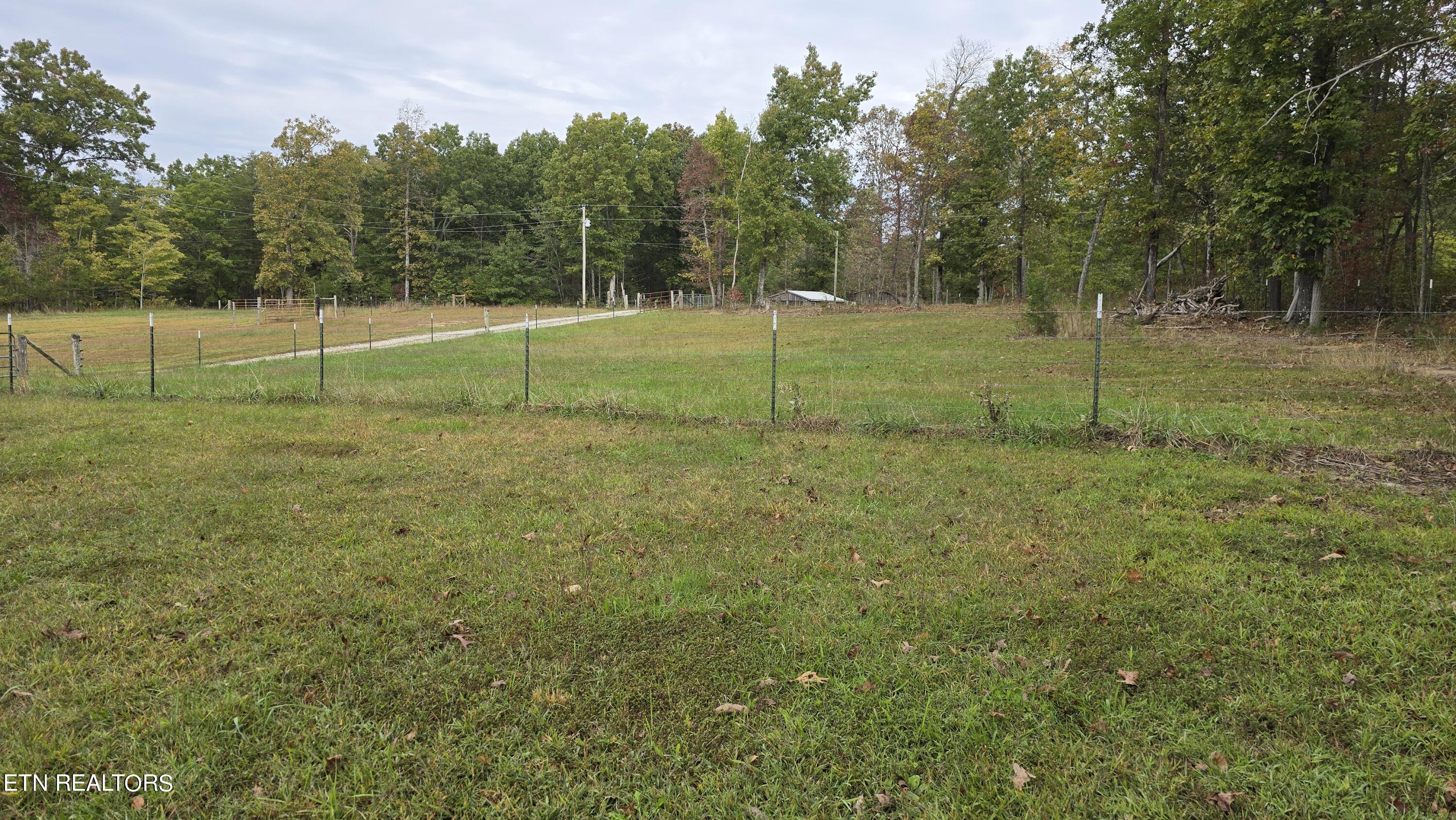 381 Grapevine Rd Property Photo 6