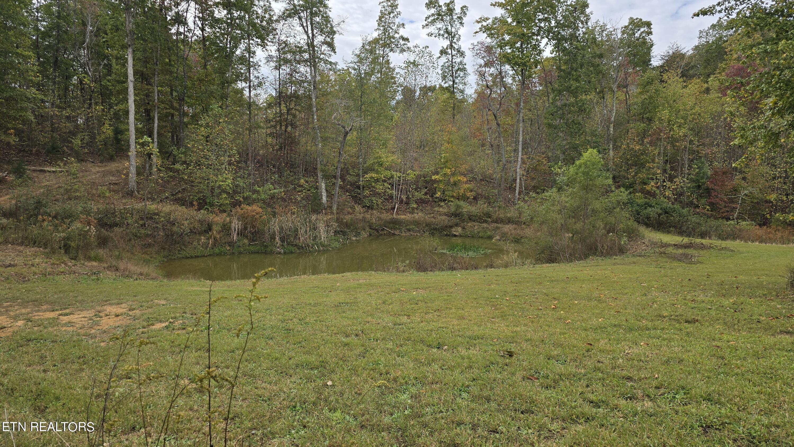 381 Grapevine Rd Property Photo 8