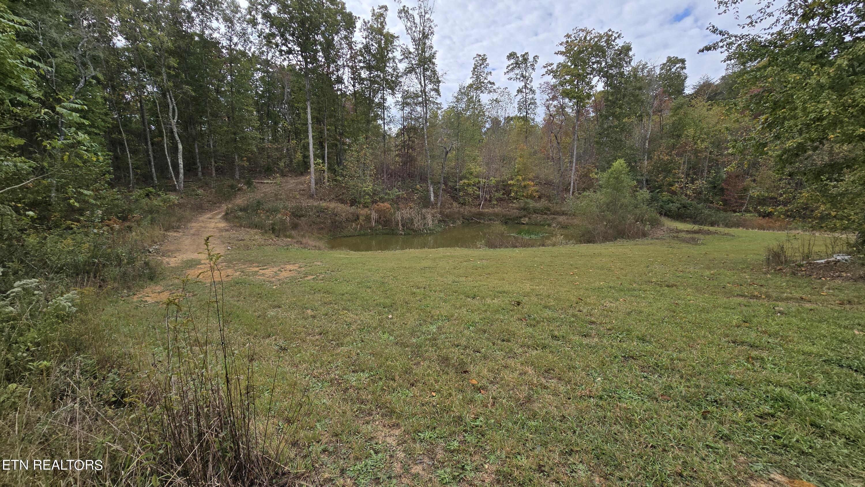 381 Grapevine Rd Property Photo 9