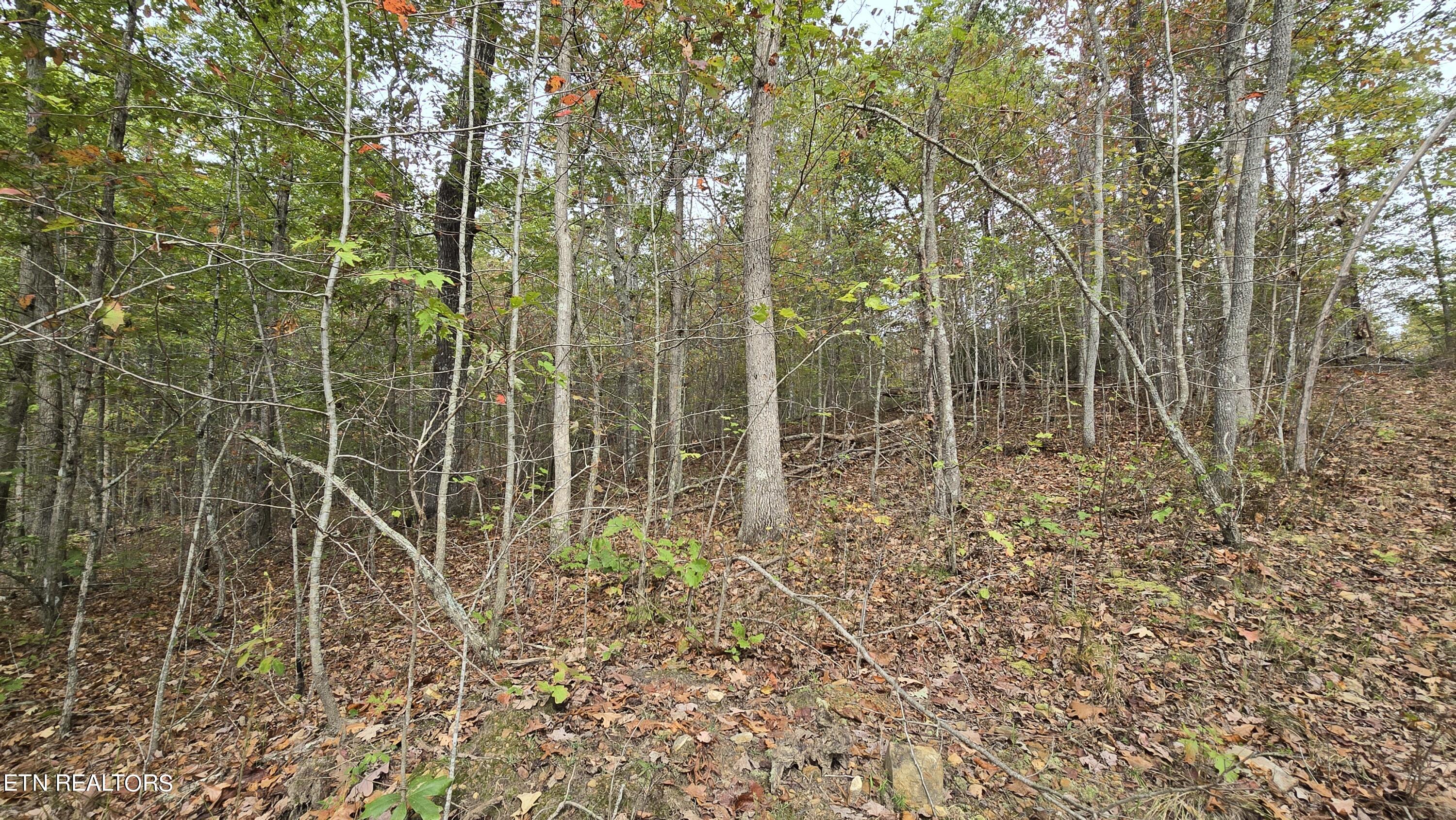 381 Grapevine Rd Property Photo 13