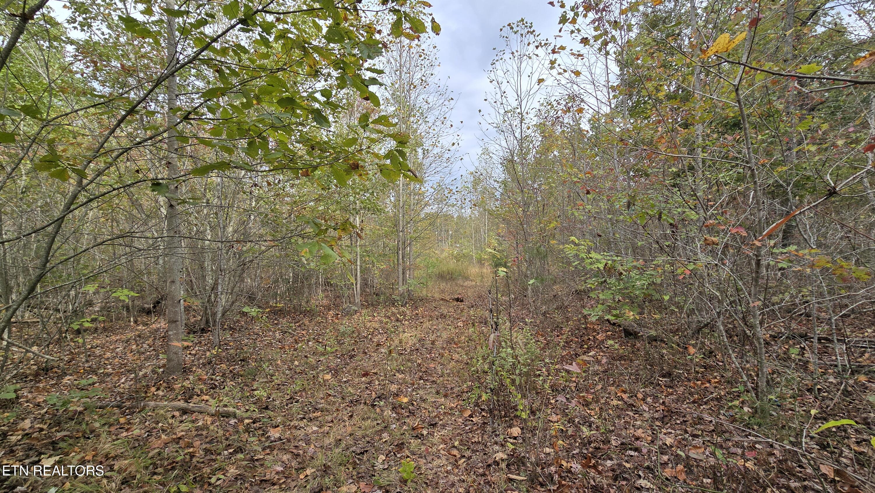 381 Grapevine Rd Property Photo 14