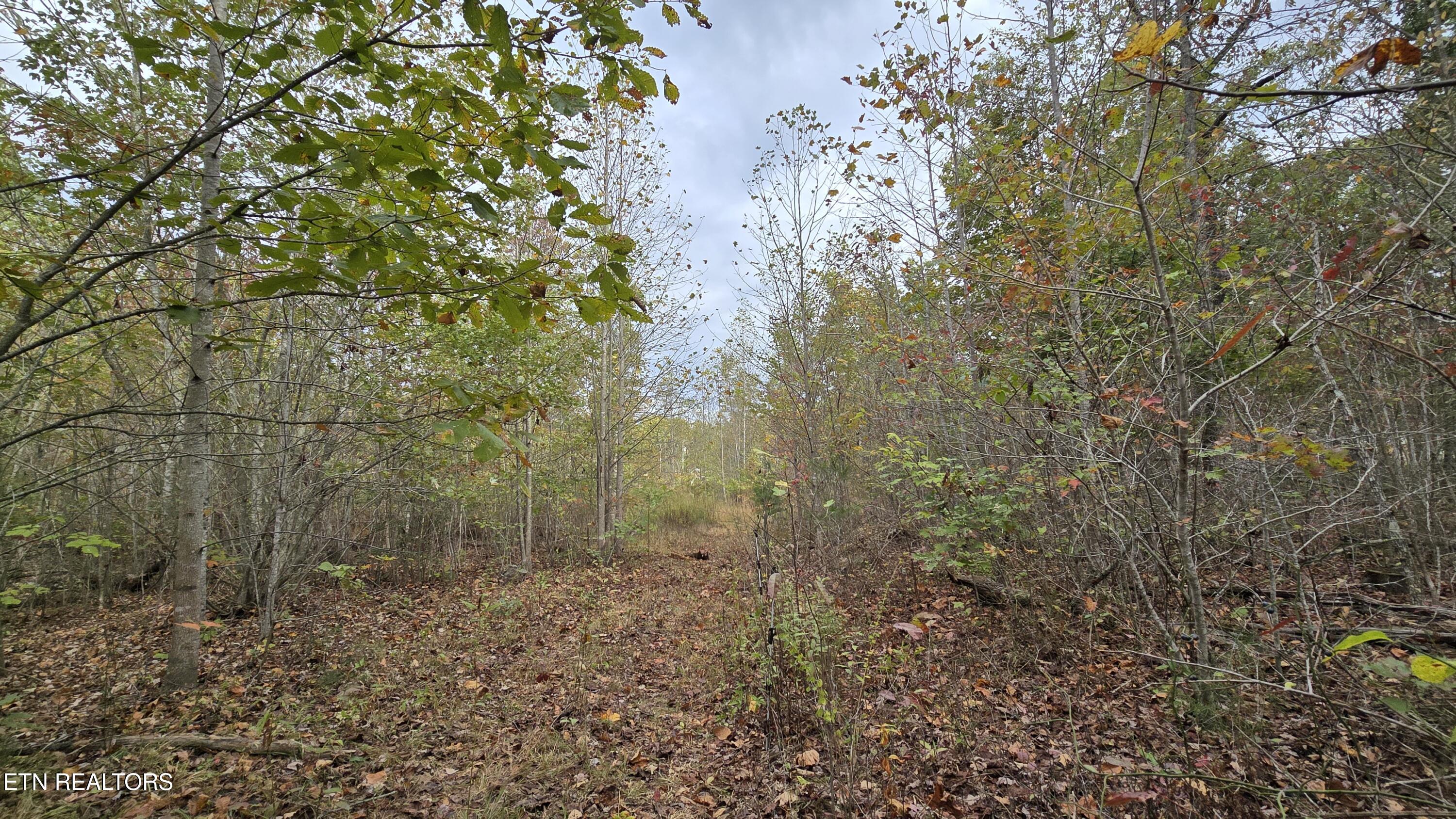 381 Grapevine Rd Property Photo 15