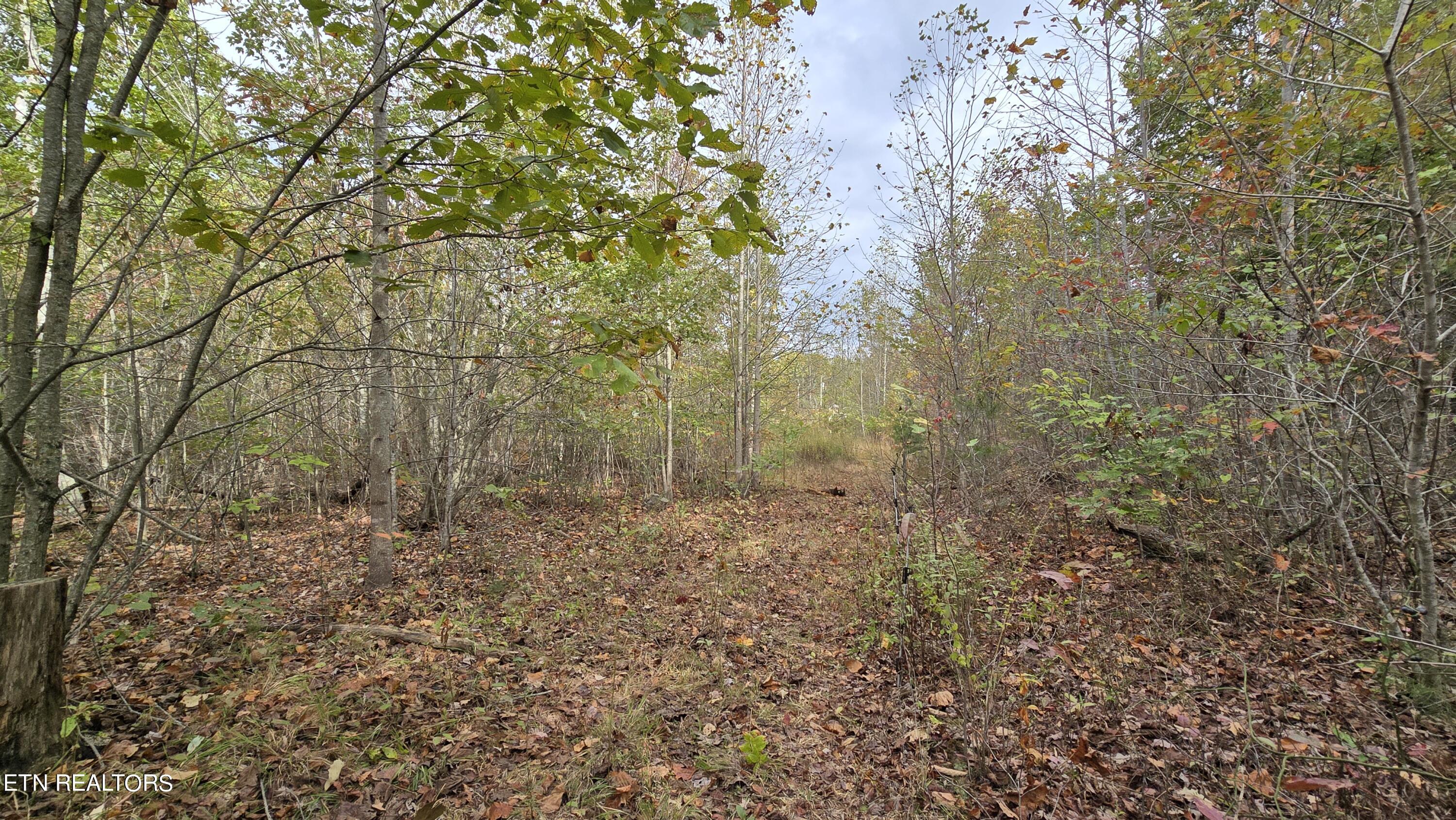 381 Grapevine Rd Property Photo 16