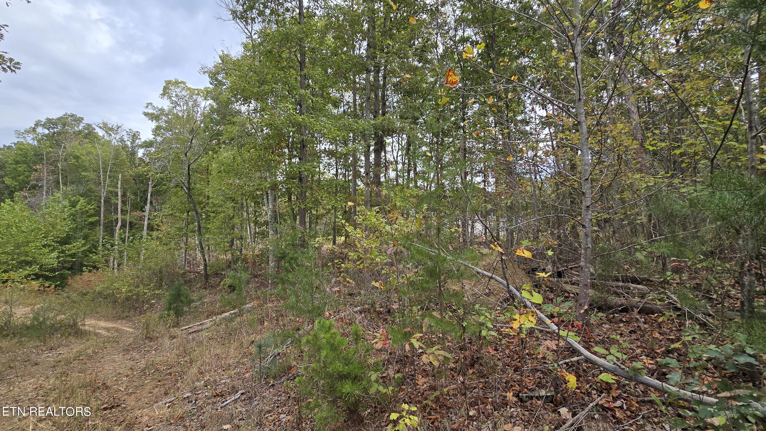 381 Grapevine Rd Property Photo 18
