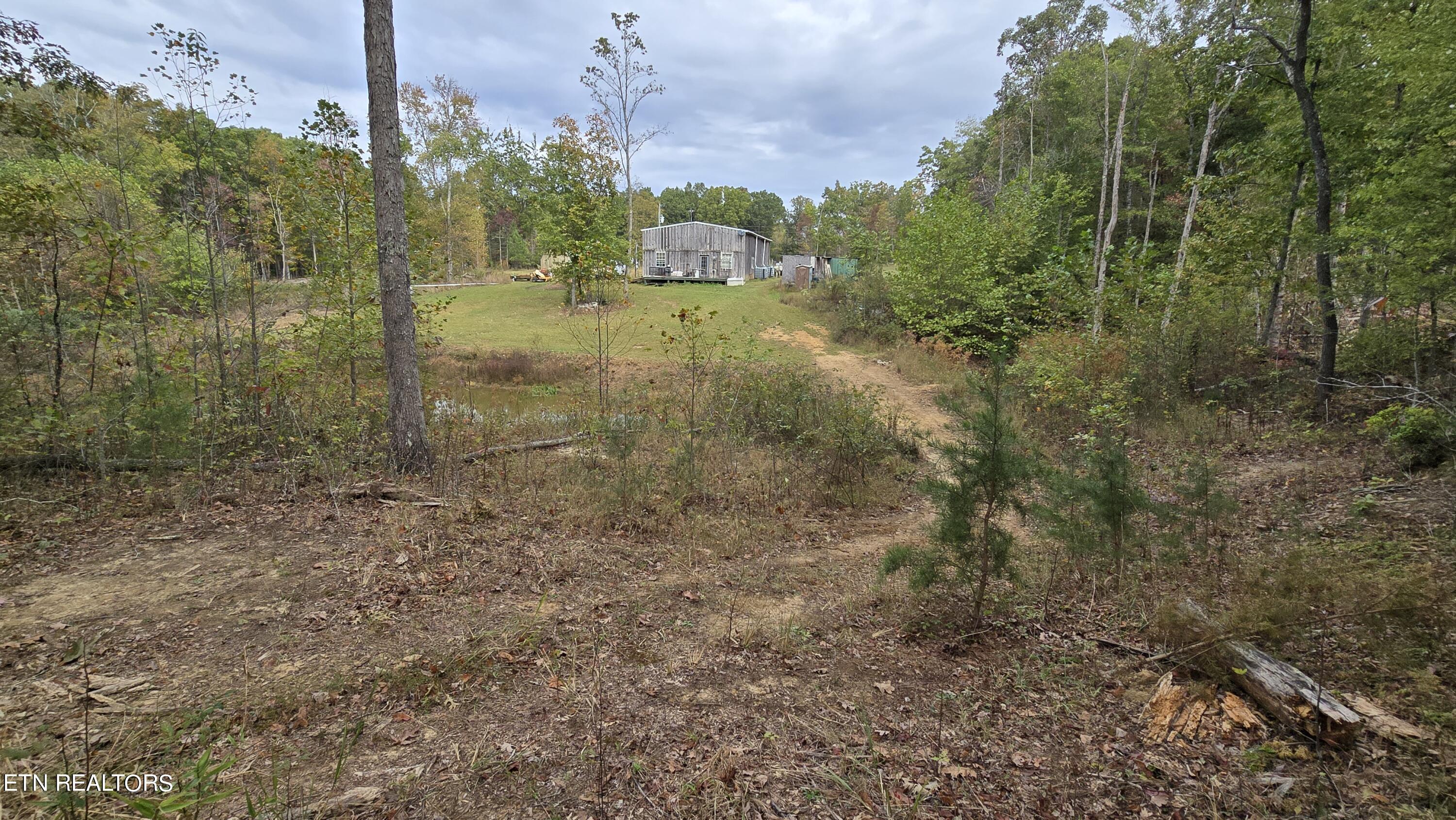 381 Grapevine Rd Property Photo 19