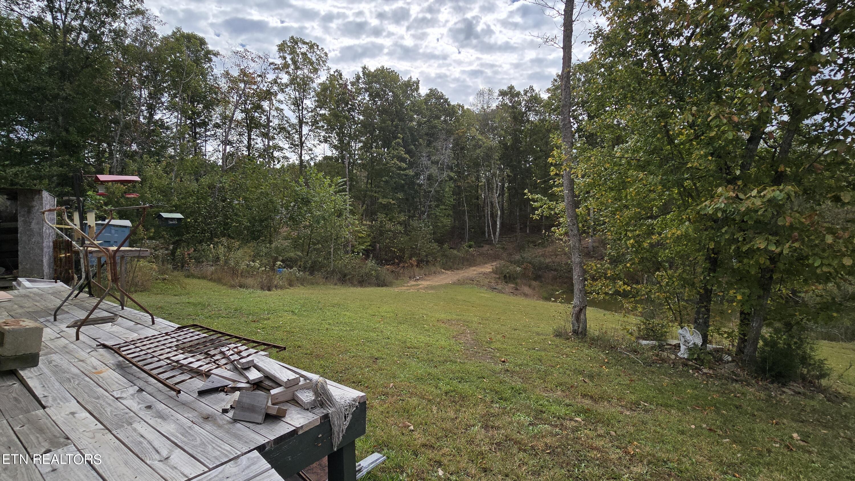381 Grapevine Rd Property Photo 23