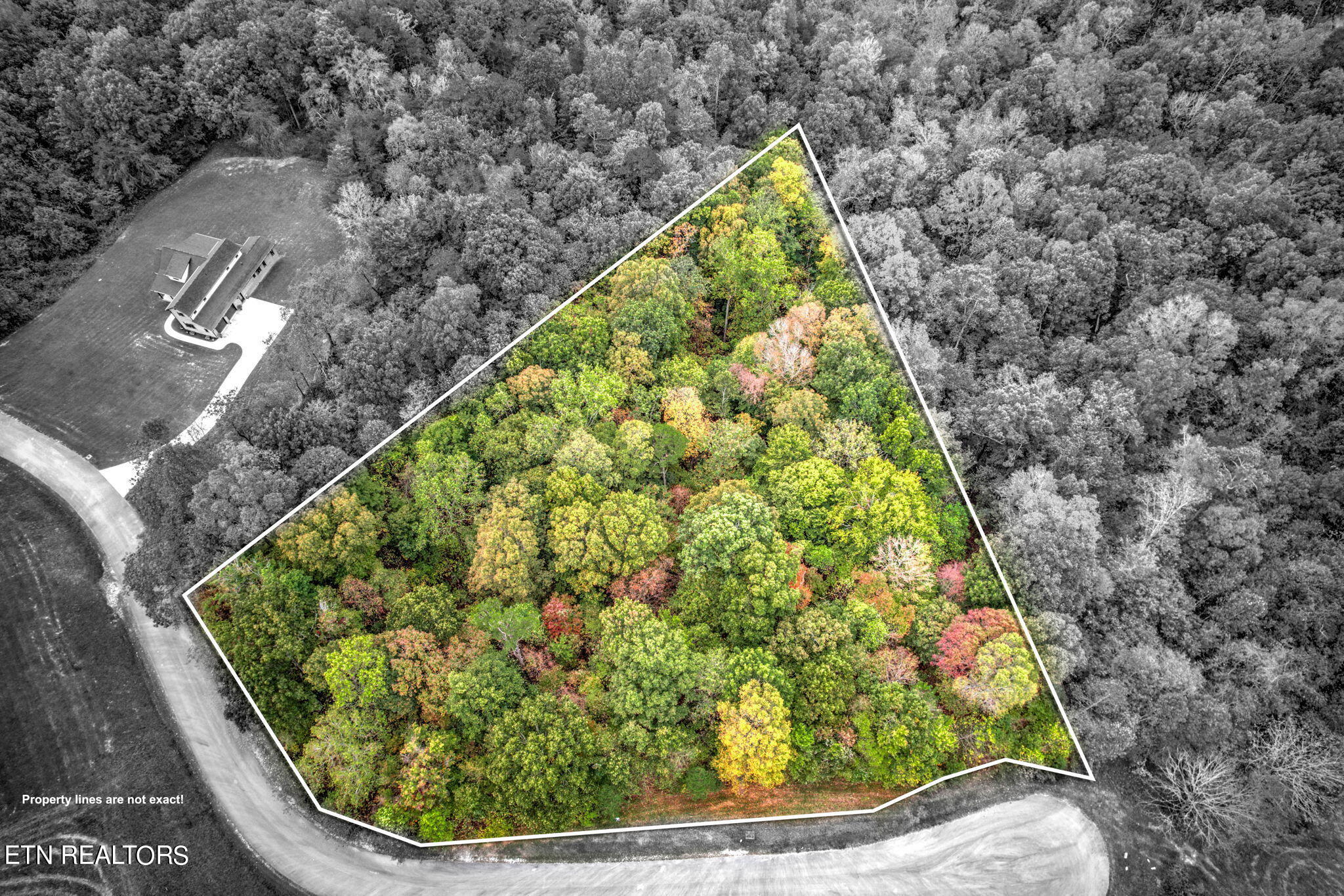 Mica Court Lot 159 Property Photo 8