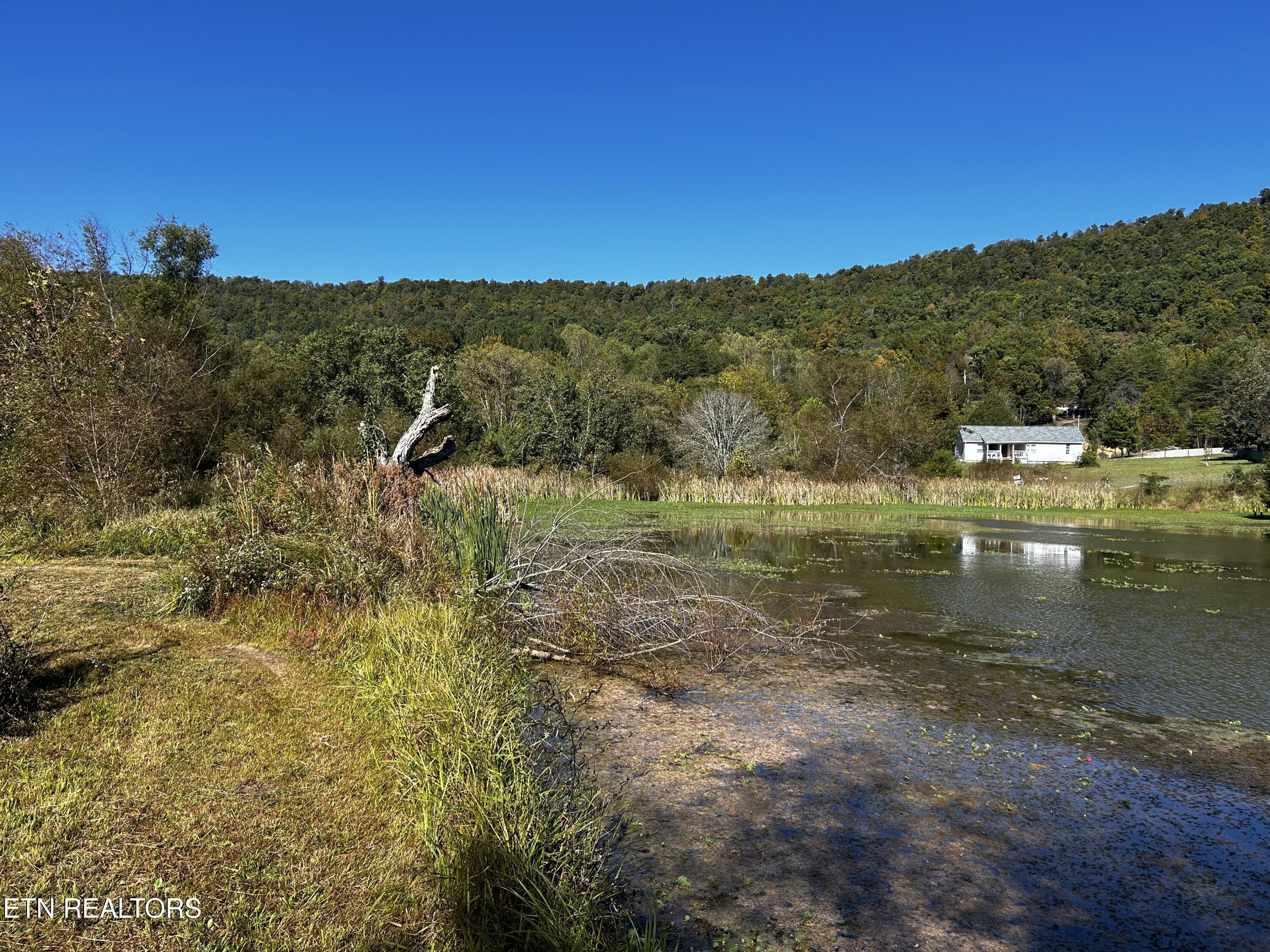 1483 Reagan Valley Rd Property Photo 4